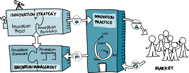 5 components of an innovation ecosystem