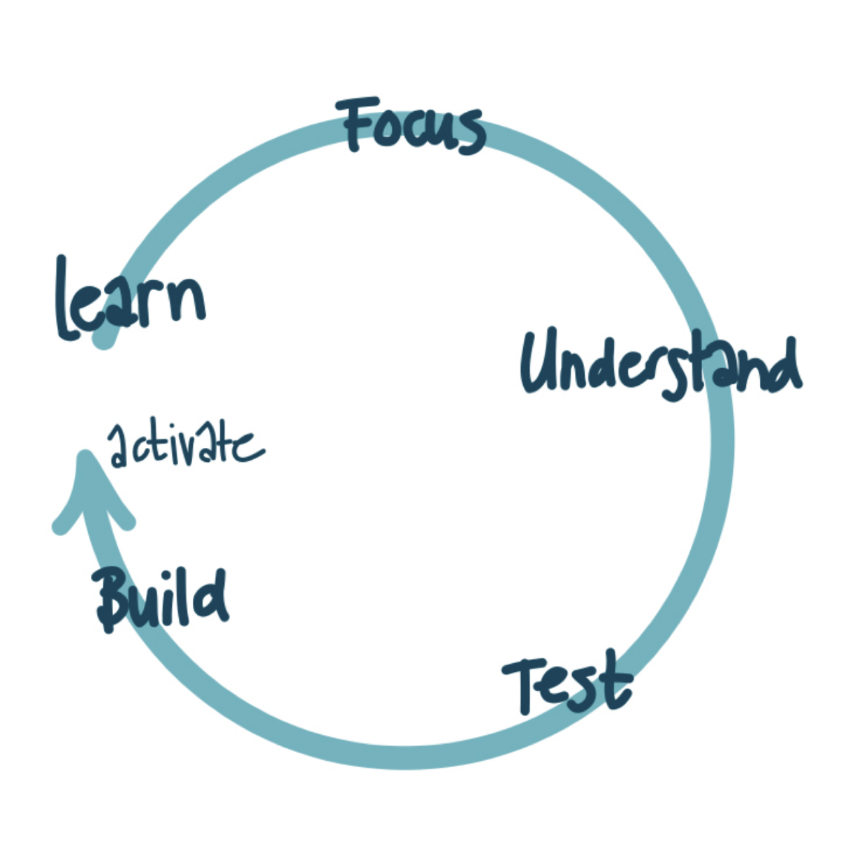 Picture of the experiment loop, which functions as the foundation of the lean innovation process